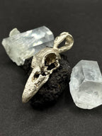 Raven Skull Pendant in Solid Silver 925