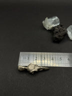 Raven Skull Pendant in Solid Silver 925