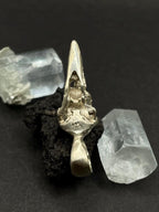 Raven Skull Pendant in Solid Silver 925