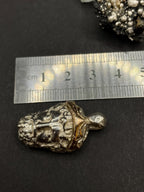 Poseidon Pendant: 9ct Gold Crown, Sterling Silver Head