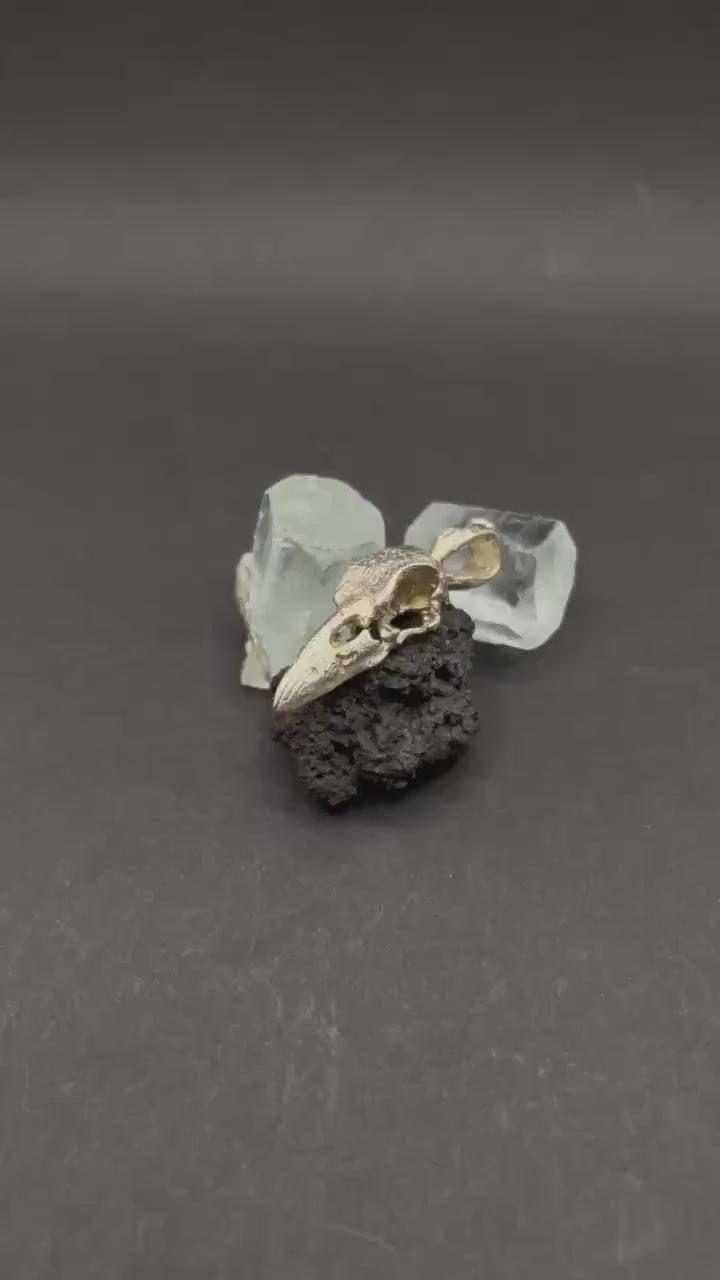 Raven Skull Pendant in Solid Silver 925