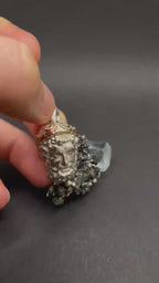 Poseidon Pendant: 9ct Gold Crown, Sterling Silver Head